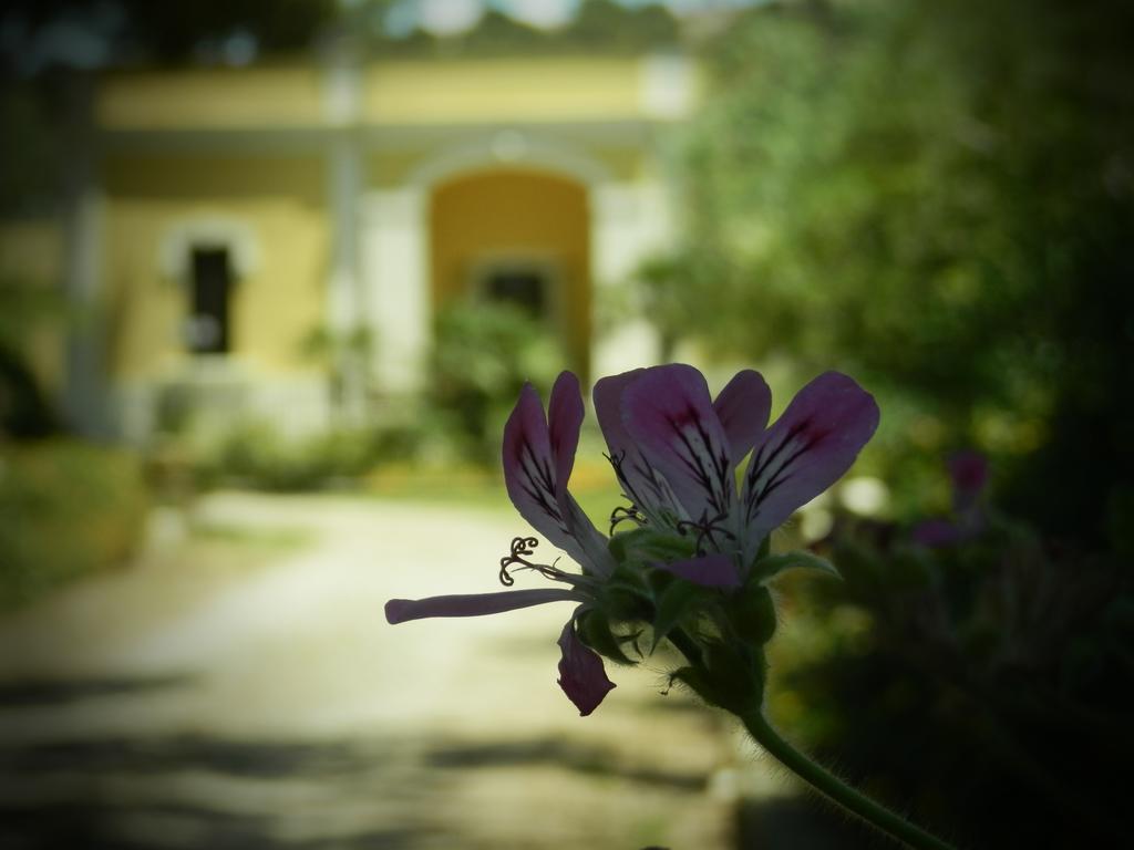 Dimora Relais Excelsa Ξενοδοχείο Gallipoli Εξωτερικό φωτογραφία